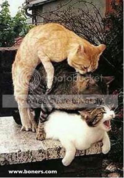 3some.jpg