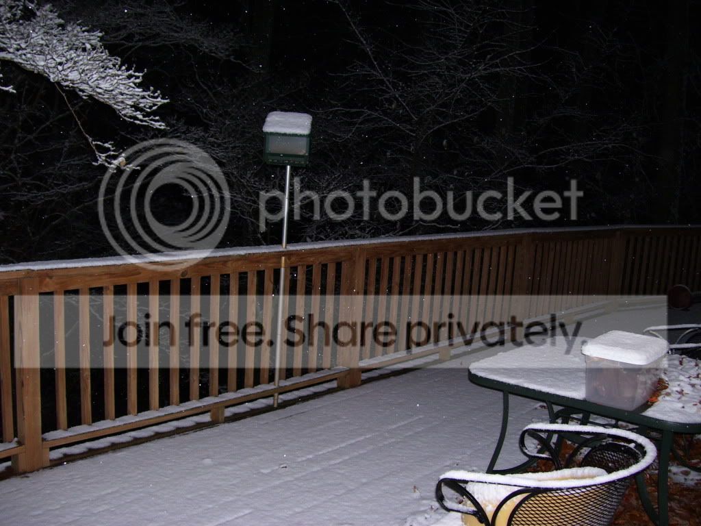 SNOW2008001.jpg
