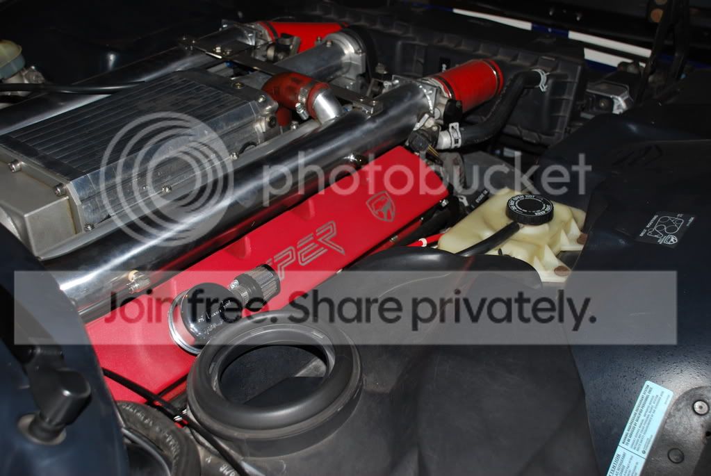 Viper006.jpg