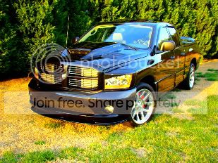MYBROW-1006-2-1.jpg