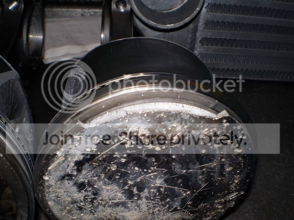 IMGP3306.jpg