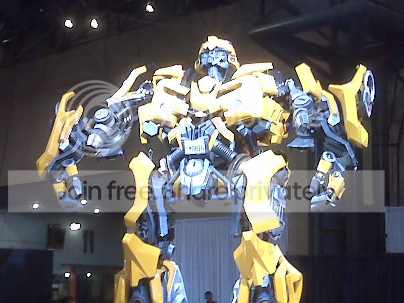 IMG00240.jpg