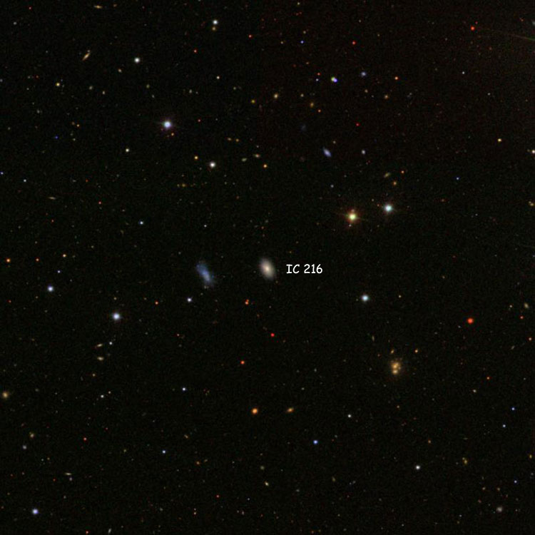 ic216wide.jpg