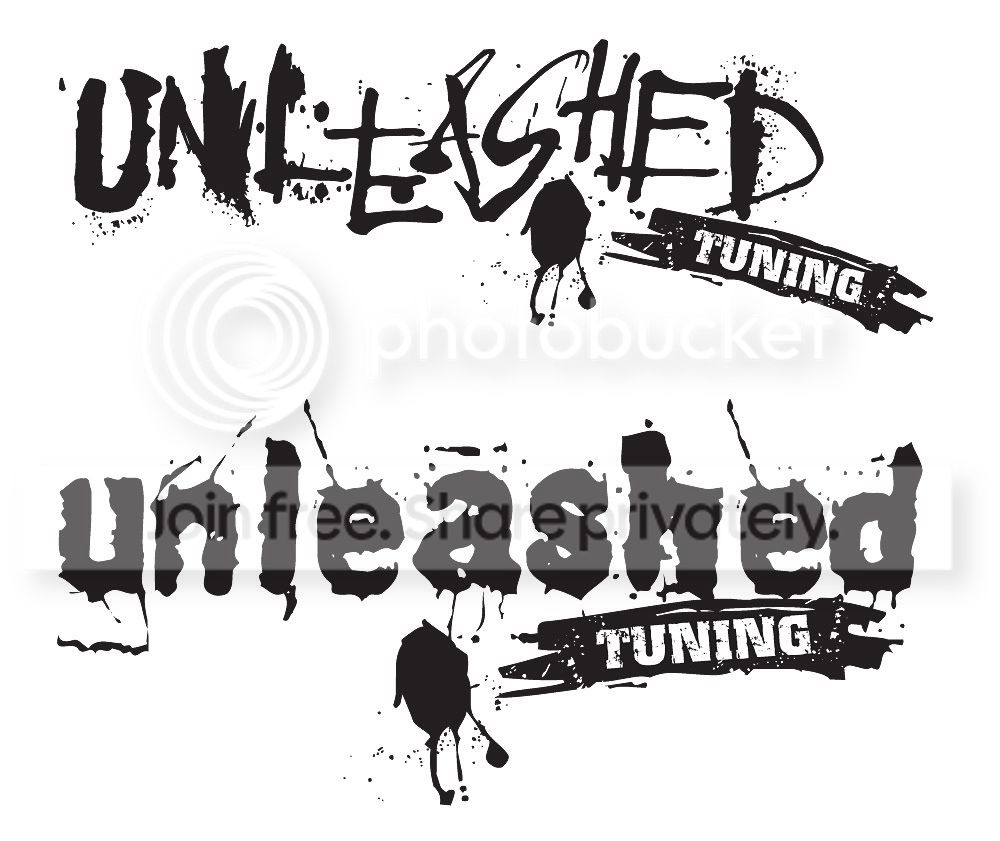 unleashed.jpg