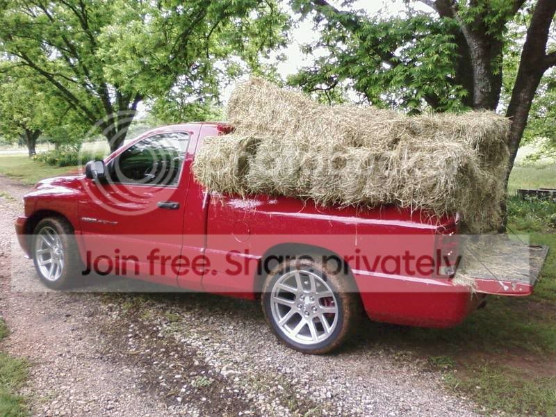 hay.jpg