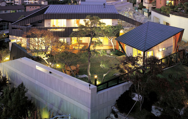 courtyard-urban-home-with-natural-oasis-2.jpg
