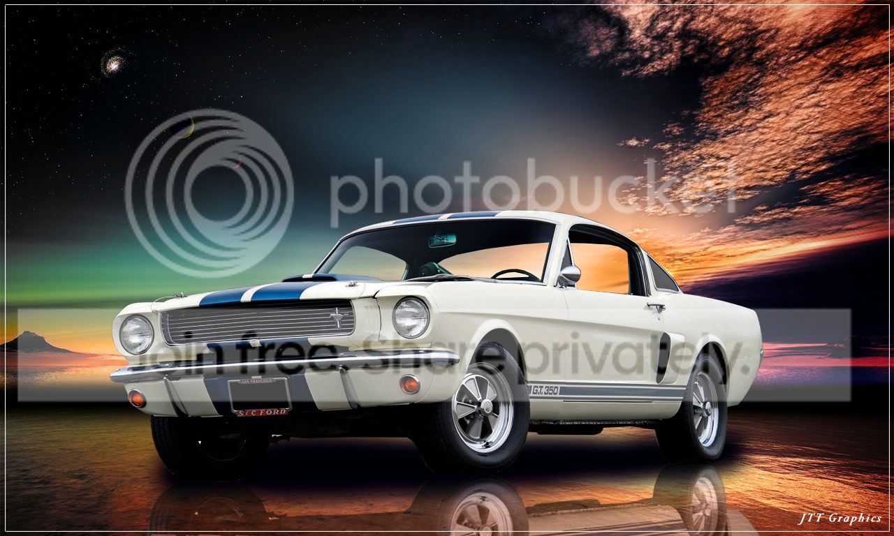 Wht-Stang-22-1-1_zpsceda7c68.jpg