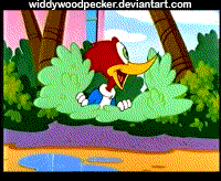 --05.gif