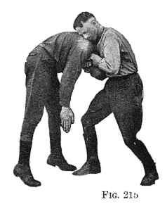 Fig215.jpg