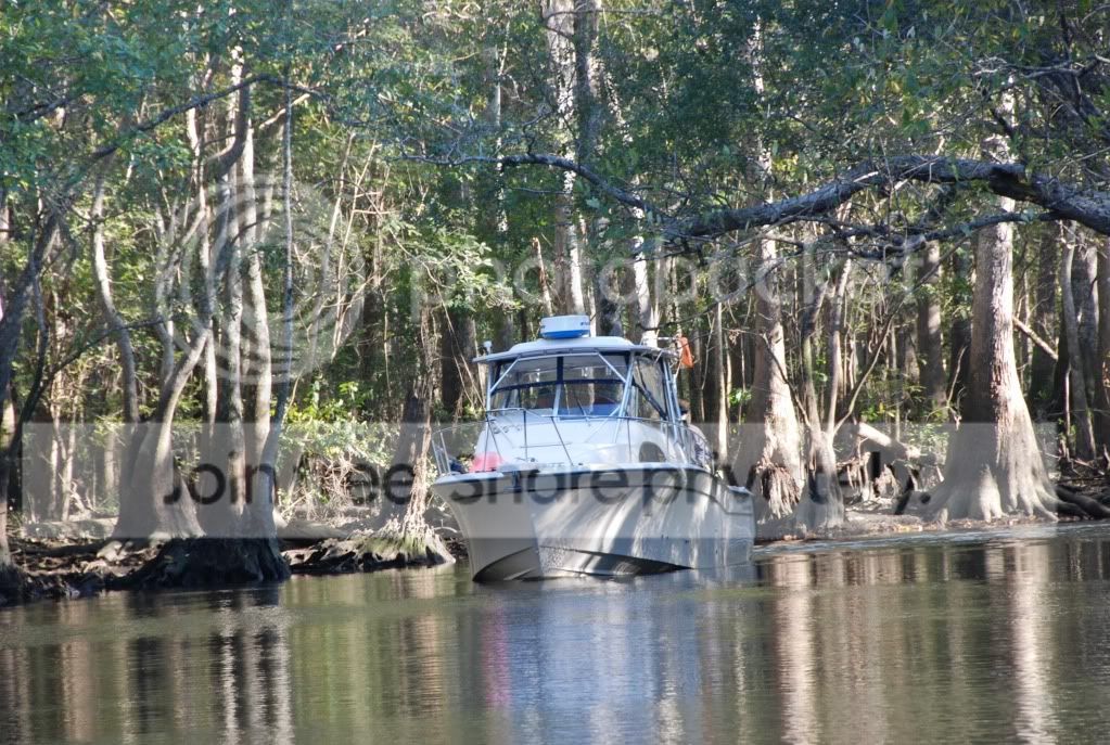 rivertrip017.jpg