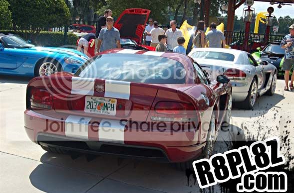 203-mph-funny-license-plate.jpg