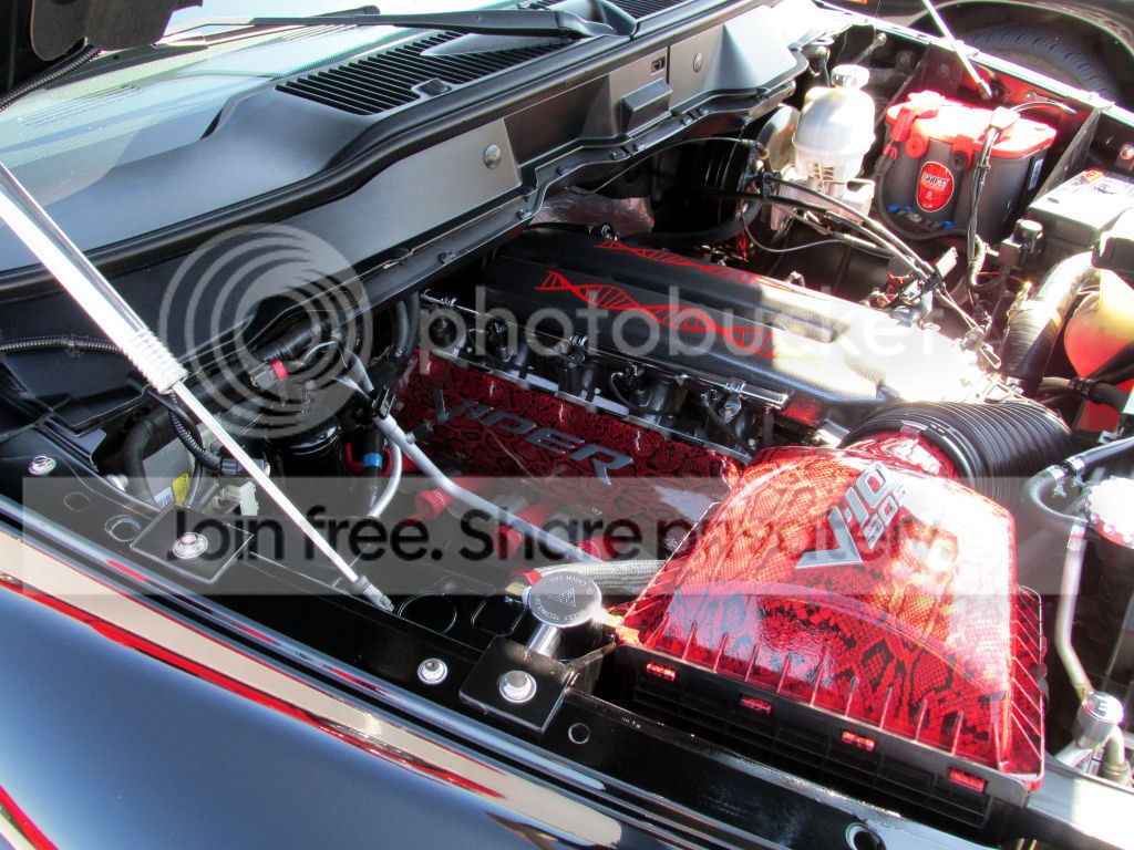 IMG_1865s_zps0e821b4a.jpg