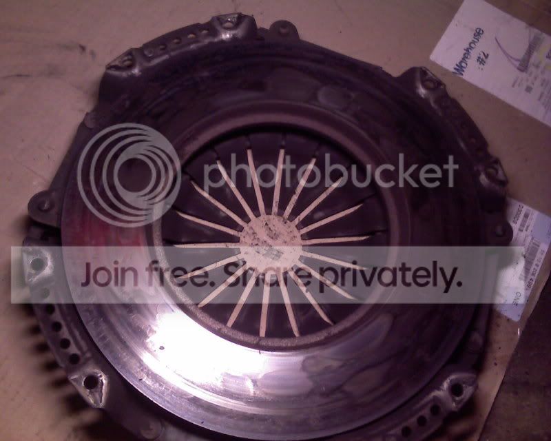 viperclutch023.jpg