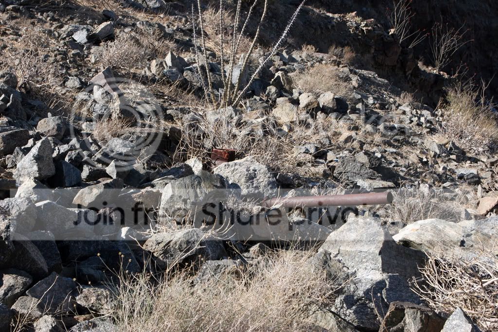PalmDesertPics151b.jpg