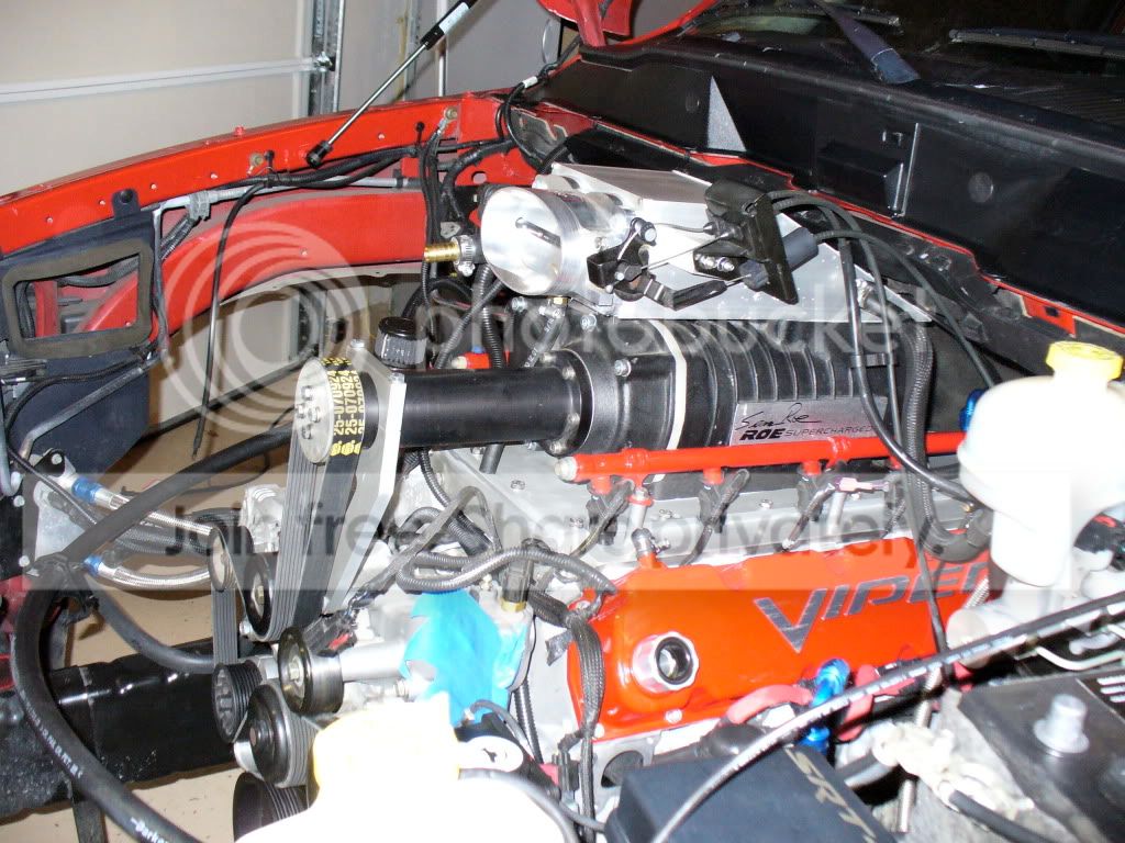 P1000911.jpg