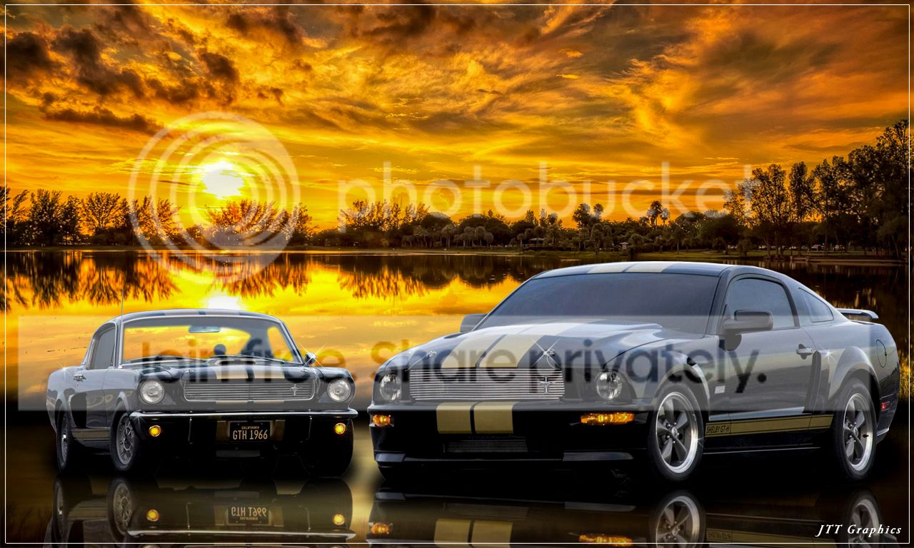 StangsX2-1-1_zps64ad1d92.jpg