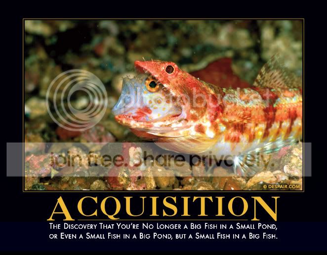 acquisitiondemotivator.jpg