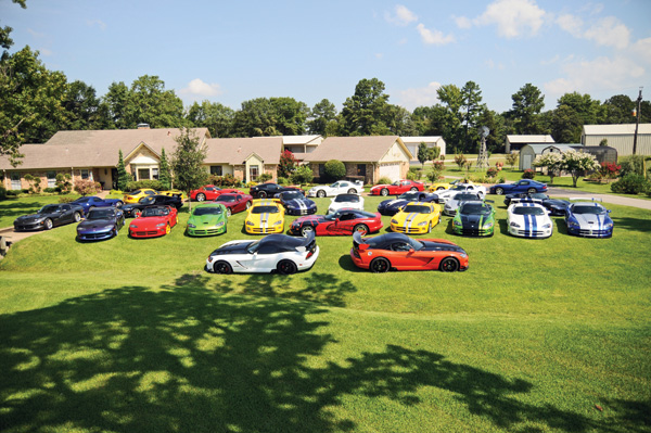 rauh_viper_collection.jpg