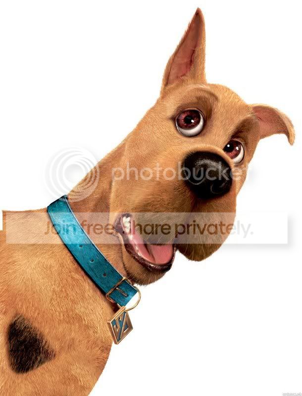 Scooby-1.jpg