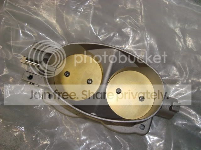 DSC00408x.jpg