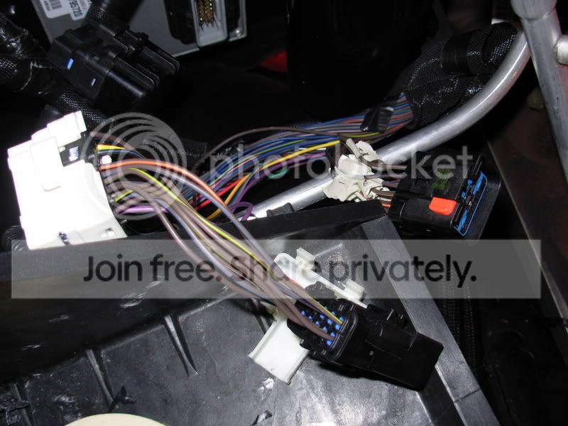DSCN1516.jpg