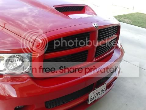srt1.jpg