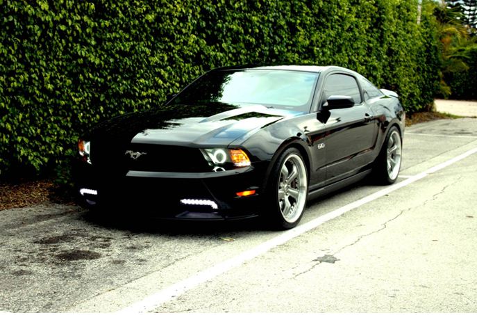 mustang1.jpg