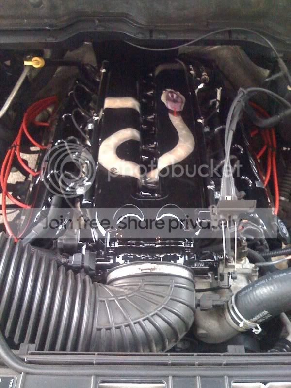 srt10enginebay1.jpg