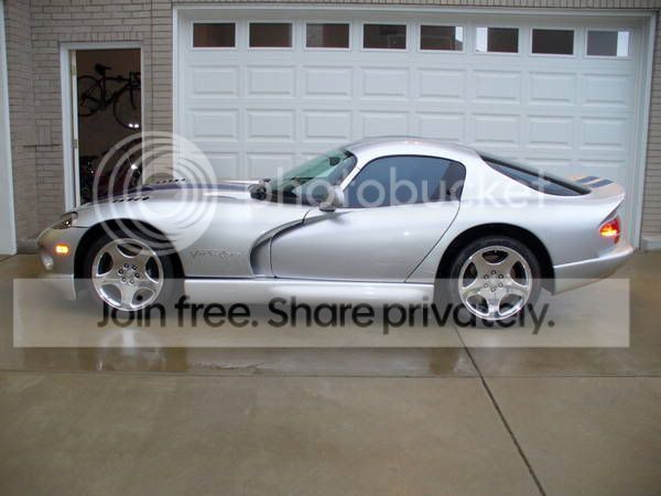 Viper8.jpg