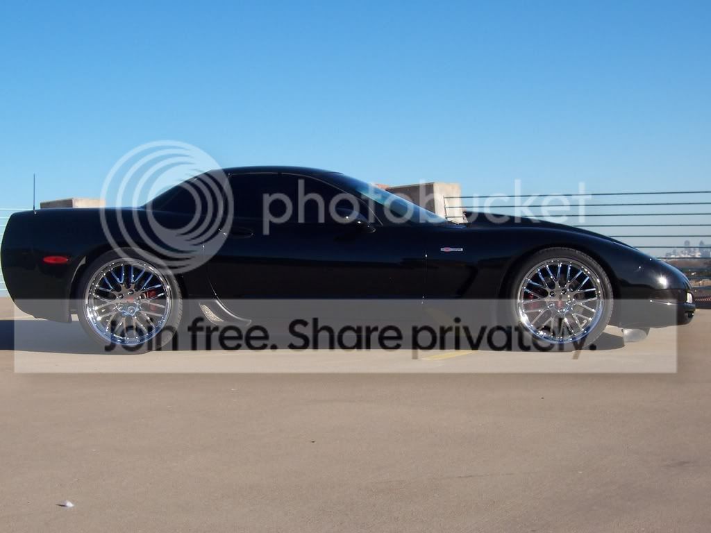 vette7.jpg