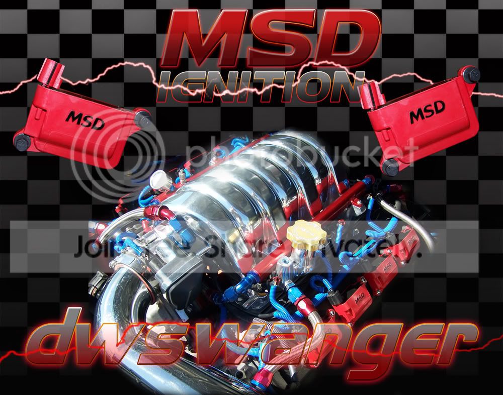 MSDwed.jpg