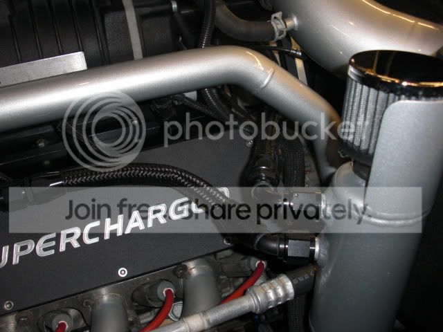 CIMG0431.jpg