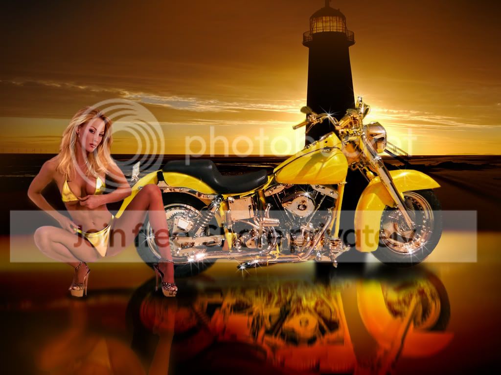 srtwannabeeBike.jpg