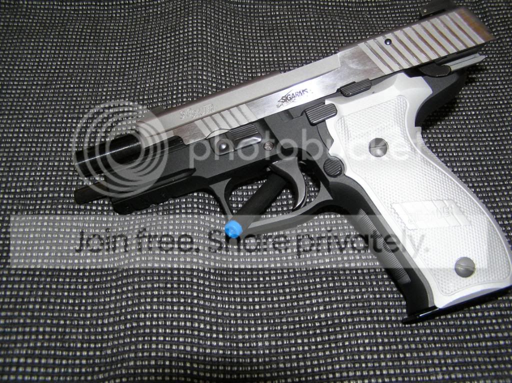 SigP226PlatinumElite40cal009.jpg