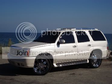 181-1.jpg