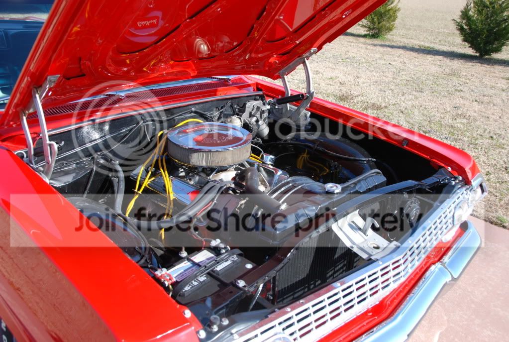 impala002.jpg