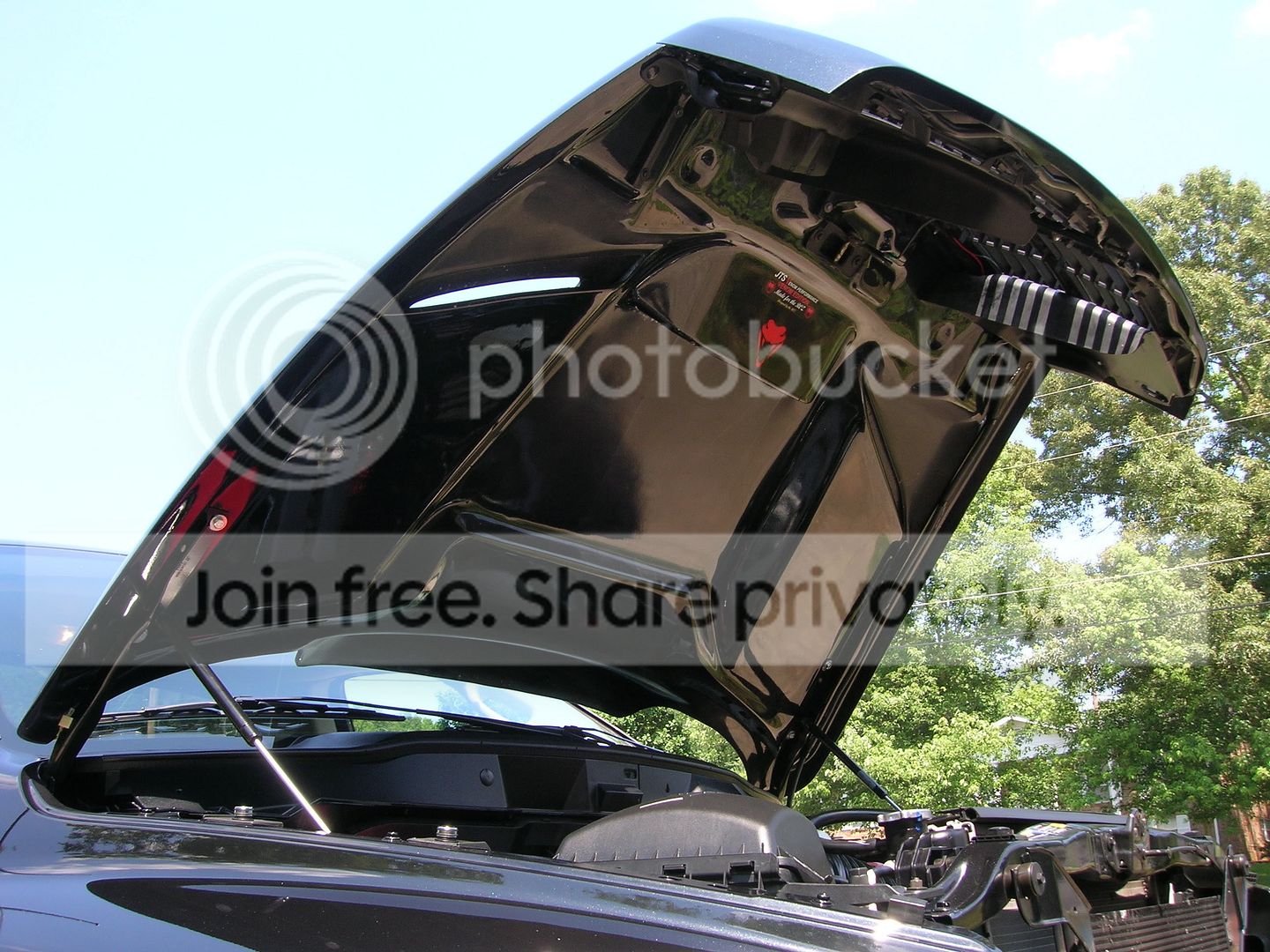 DSCN2231.jpg