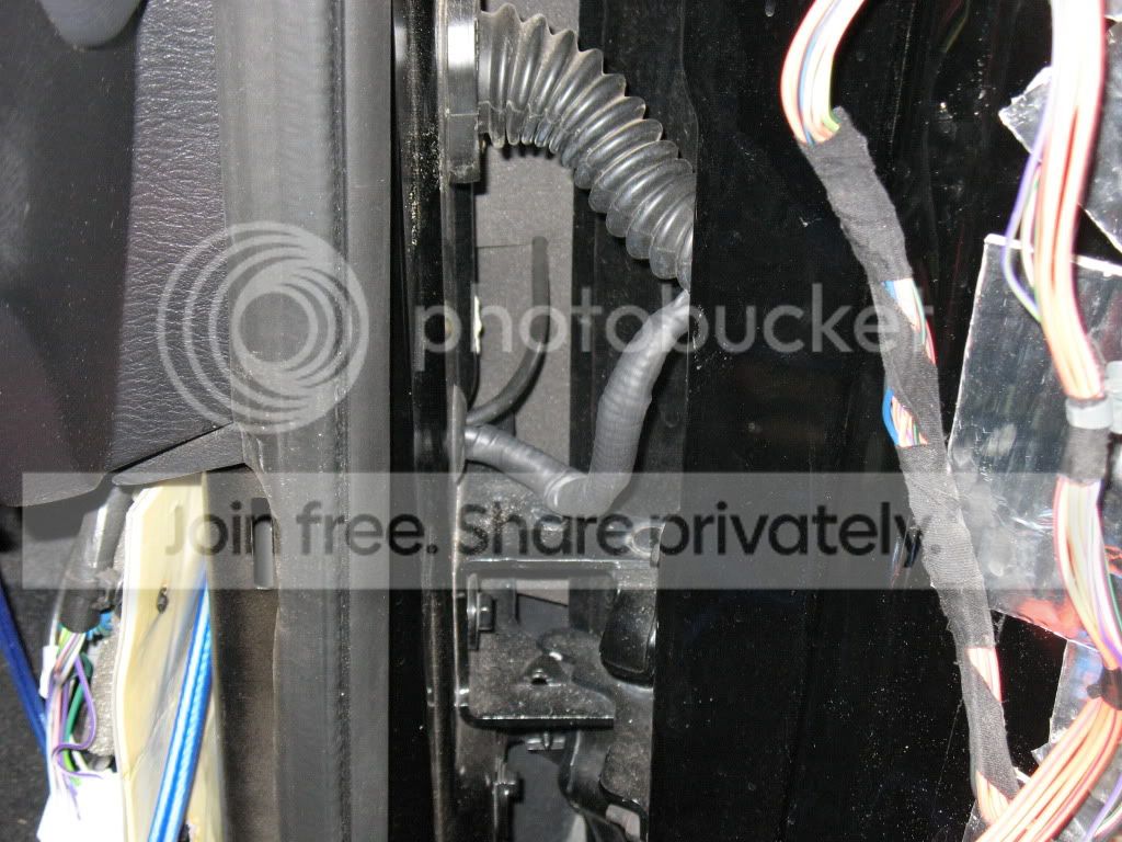 IMG_1877.jpg