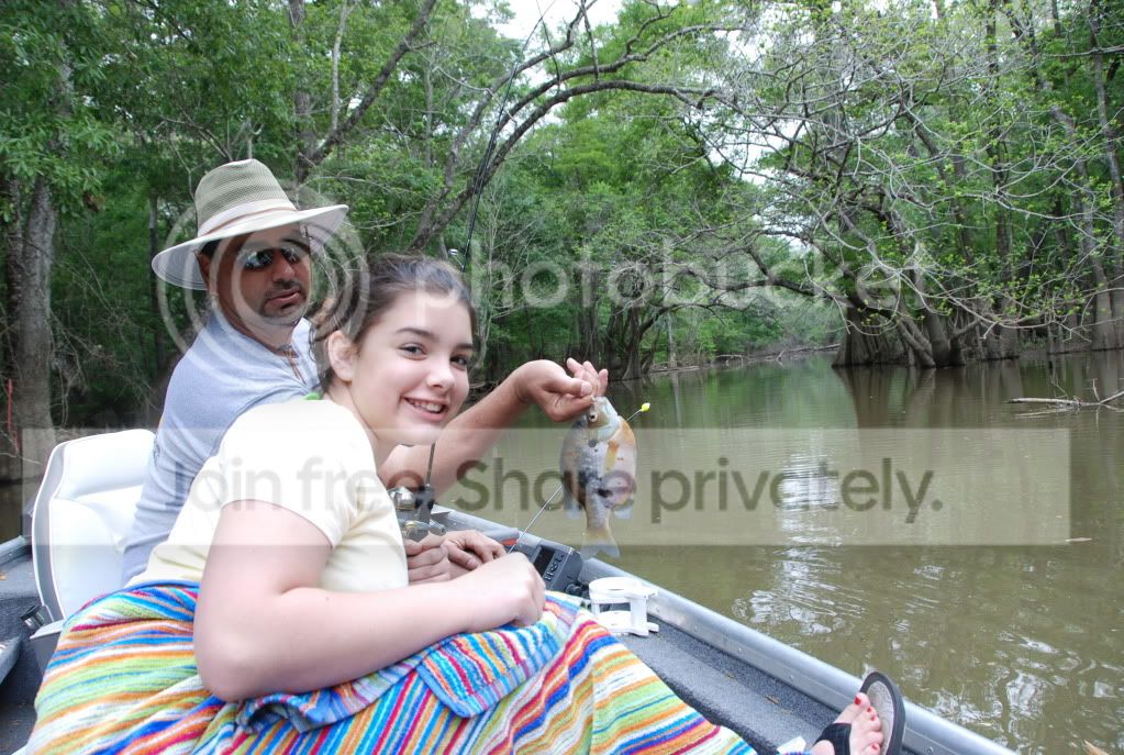 howardscreek004.jpg
