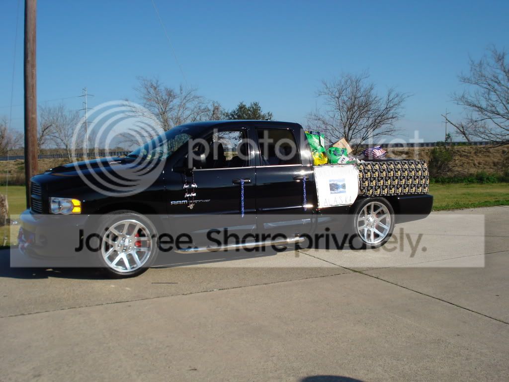 viper_photos_005.jpg
