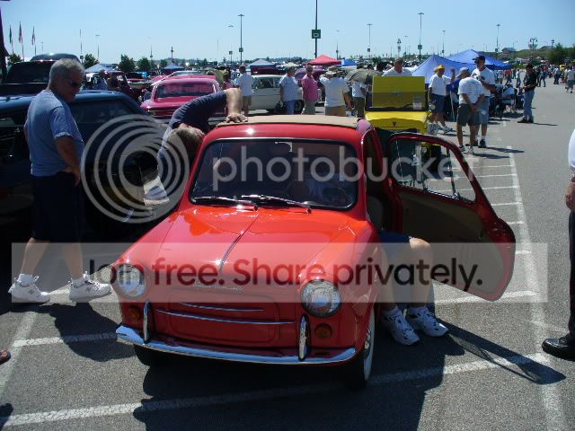 P1020474.jpg