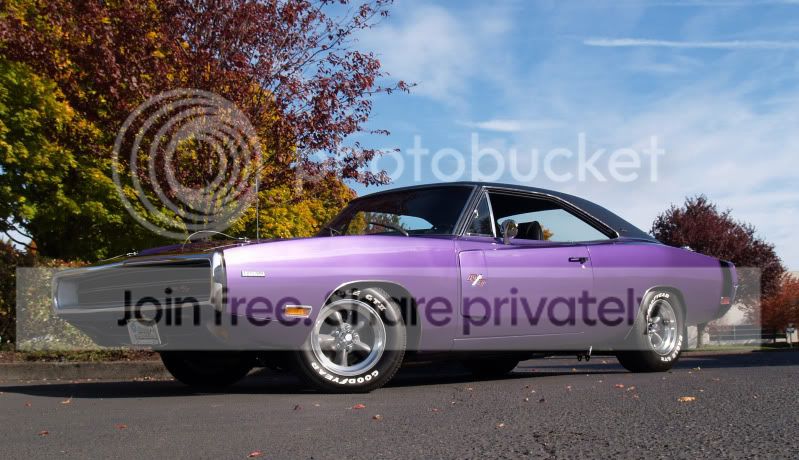 8785d2ea.jpg