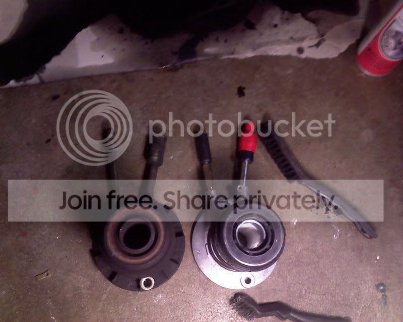 viperclutch014.jpg