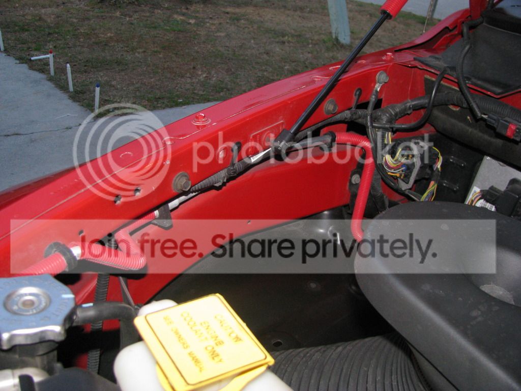 IMG_4191.jpg