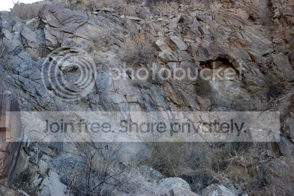 PalmDesertPics167b.jpg