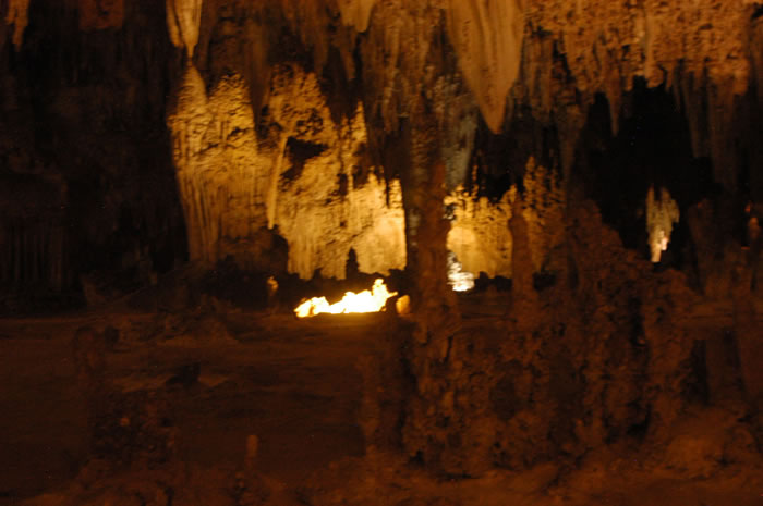DSC_0394_JPG.jpg