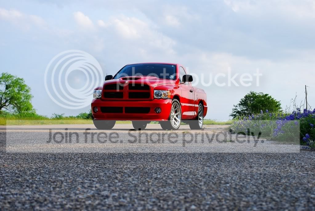 DSC_0262.jpg