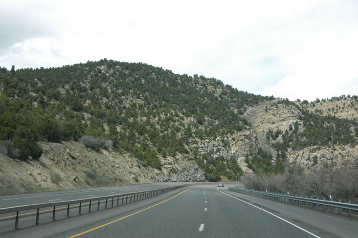 DSC_0336_JPG.jpg