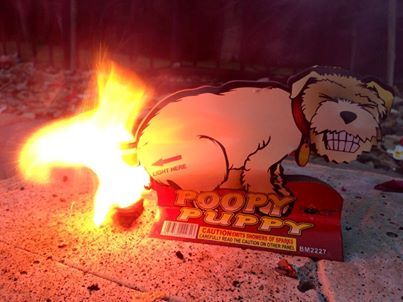 my-favorite-fire-cracker-from-the-fourth-of-july-21399.jpg