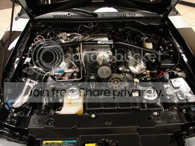 cobra4.jpg